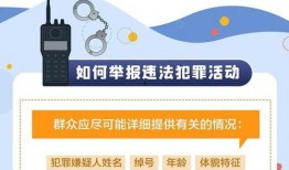 110最新爆料,揭秘事件背后惊人真相